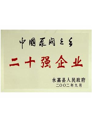 二十强企业